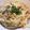 クックETQYQW☆'s cooksnap of when they made 牛乳で！簡単おいし〜味噌クリームパスタ.