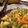 クックO3BDVC☆'s cooksnap of when they made *セロリの葉のお焼*.