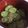 もきち☆'s cooksnap of when they made 我が家の簡単♡さっぱり冷やし和風スープ.
