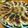 みつこ姉's cooksnap of when they made 平日食べる我が家の肉餃子.
