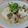 ☆suzuka☆'s cooksnap of when they made 焼き豆腐のキノコ生姜あんかけ.
