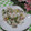 miyuki12's cooksnap of when they made ヒラメのマヨマスタード和え.