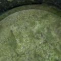マカダミア★'s cooksnap of when they made 簡単！ヘルシー！抹茶豆腐アイス♪.