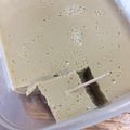 吊らねば's cooksnap of when they made ヘルシーおいし♥ミルクティー寒天.