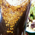 のぶ代's cooksnap of when they made 焼肉のたれ/2種類★手作り★.