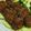 あけるるる's cooksnap of when they made 牛薄切り肉で簡単！野菜入りステーキ.