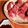 すみれの's cooksnap of when they made イナダ刺し身.