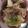 ma___111's cooksnap of when they made アスパラガスとベーコン卵サラダ.