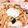 クックEE8XAB☆'s cooksnap of when they made 簡単豚丼*.