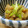 solapapa's cooksnap of when they made こんにゃくのさっぱり中華風炒め.