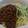 うさうさおかん's cooksnap of when they made ジャージャー麺の本格肉みそ！.