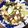 ajun0219's cooksnap of when they made 焼き肉のタレで簡単♪麻婆青梗菜.