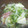 有希-yuki-'s cooksnap of when they made 白菜とハムとりんごのサラダ.