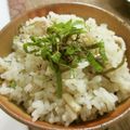 ☆Rokko☆'s cooksnap of when they made イカの炊き込みご飯.