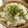 ☆Rokko☆'s cooksnap of when they made イカの炊き込みご飯.