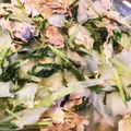 あんママ's cooksnap of when they made 豚しゃぶ肉✩簡単すぎる野菜蒸しonダシダ.