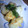 なす犬's cooksnap of when they made タラの唐揚げ　ネギソース.