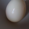 はるらぱん's cooksnap of when they made 基本のゆで玉子。簡単にできてむきやすい！.
