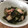 ducktail's cooksnap of when they made 我が家の定番☆タコときゅうりの酢の物.