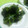 レモンティー0405's cooksnap of when they made つるむらさきのメープルゴマ和え.