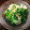 ぷちぷちぷちやん's cooksnap of when they made ササミと胡瓜とパクチーのタイ風サラダ.