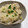 音好き's cooksnap of when they made がごめきざみ昆布とあさりの炊き込みご飯.