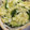 harutama's cooksnap of when they made きゅうりと長ネギの速攻漬け.