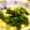 ごろうまるママ's cooksnap of when they made 簡単！イカと小松菜のバター醤油炒め.