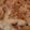 かりもも's cooksnap of when they made じゃがいもとベーコンのチーズ焼き.