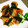 たま佳's cooksnap of when they made 梅香る☆いわしの蒲焼き.