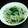 ぽんきちっちーず's cooksnap of when they made もやしとほうれん草のナムル.