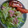 のいに873716's cooksnap of when they made 簡単 まりねサラダ レタス 玉ねぎ.