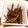エコ公's cooksnap of when they made きんぴらごぼう.