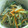 こむぎぱくぱく's cooksnap of when they made 簡単で安上がり☆もやしとニラのナムル.