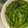 むのの's cooksnap of when they made ほんのり香る☆冷凍枝豆で☆わさび枝豆.