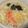 mcc5646's cooksnap of when they made 鶏塩にゅうめん.