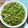 mmameco's cooksnap of when they made 茹でなくても美味しいインゲン.