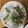 ♪choko♪'s cooksnap of when they made ✿ちくわとスナップえんどうのおかかマヨ✿.