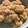 すーころん's cooksnap of when they made 枝豆の炊き込みご飯.