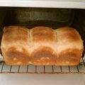 FaithAloha's cooksnap of when they made 角食パン（上新粉入り）.
