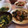あいこす♡花嫁修業中's cooksnap of when they made 小松菜☆中華炒め.