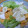panapana's cooksnap of when they made 柿と蕪の冬のサラダ♪.