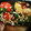 クックTYHA1O☆'s cooksnap of when they made 色鮮やか♡ピーマンとちくわの甘辛煮.