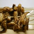 maruru-nn's cooksnap of when they made 夏だ！イカ焼き.
