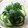 クック26352G☆'s cooksnap of when they made きゅうりとシソの浅漬け.