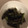 クックPW9C2T☆'s cooksnap of when they made ししとうの甘辛✩.