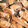 mkt3510ママ☆'s cooksnap of when they made 受験生の夕食　♪　ブリときのこ炒め.