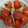 Y0130's cooksnap of when they made トマトときのこの炒め物.