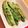 クック34UBZ4☆'s cooksnap of when they made スナップえんどうのオイル焼き.