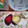 Dream♪'s cooksnap of when they made 我が家の柚子大根(夏ver).